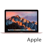 Ремонт Apple MacBook Mid в Сургуте