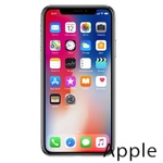 Ремонт iPhone X(10) в Сургуте